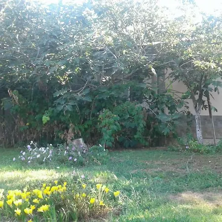 Guest house Stella Varna
